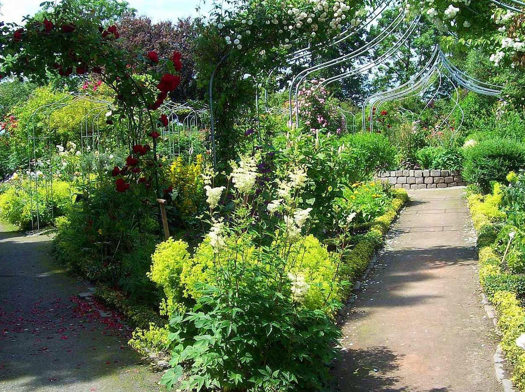Rosarium Wilhelmshaven景点图片