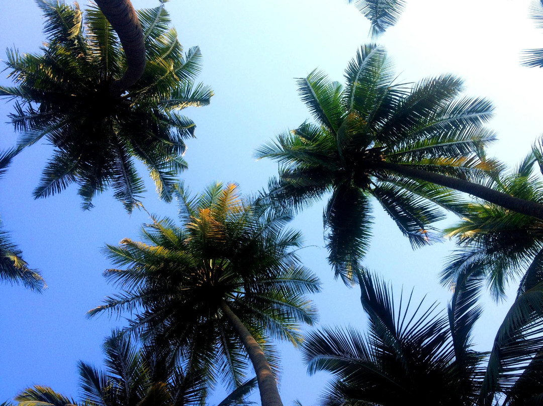 Mayekars Holiday Home主图