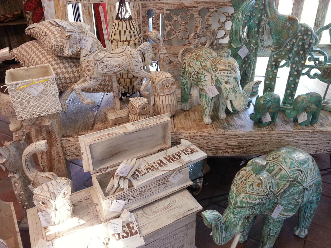 Iguana Beachwear Gifts & Home Decor景点图片