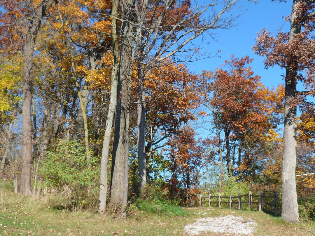 Lance Park-Twin Lakes必去景点