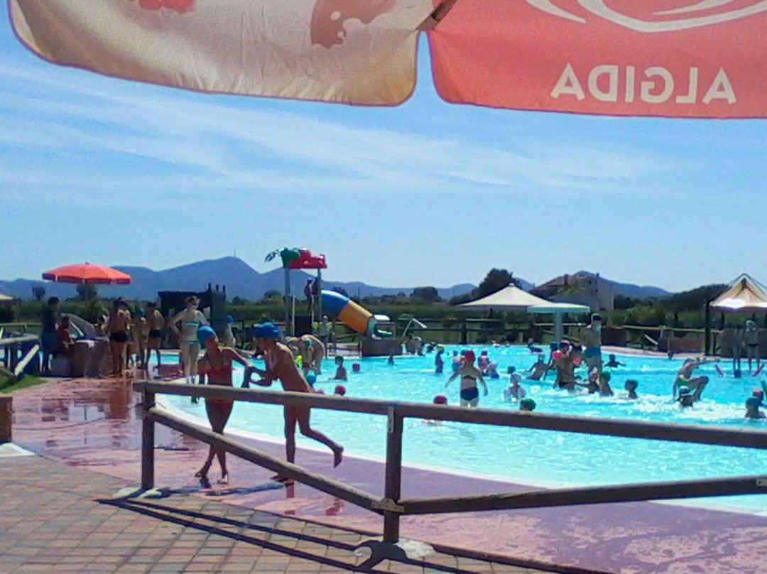 Piscine Nemo all'Oasi景点图片