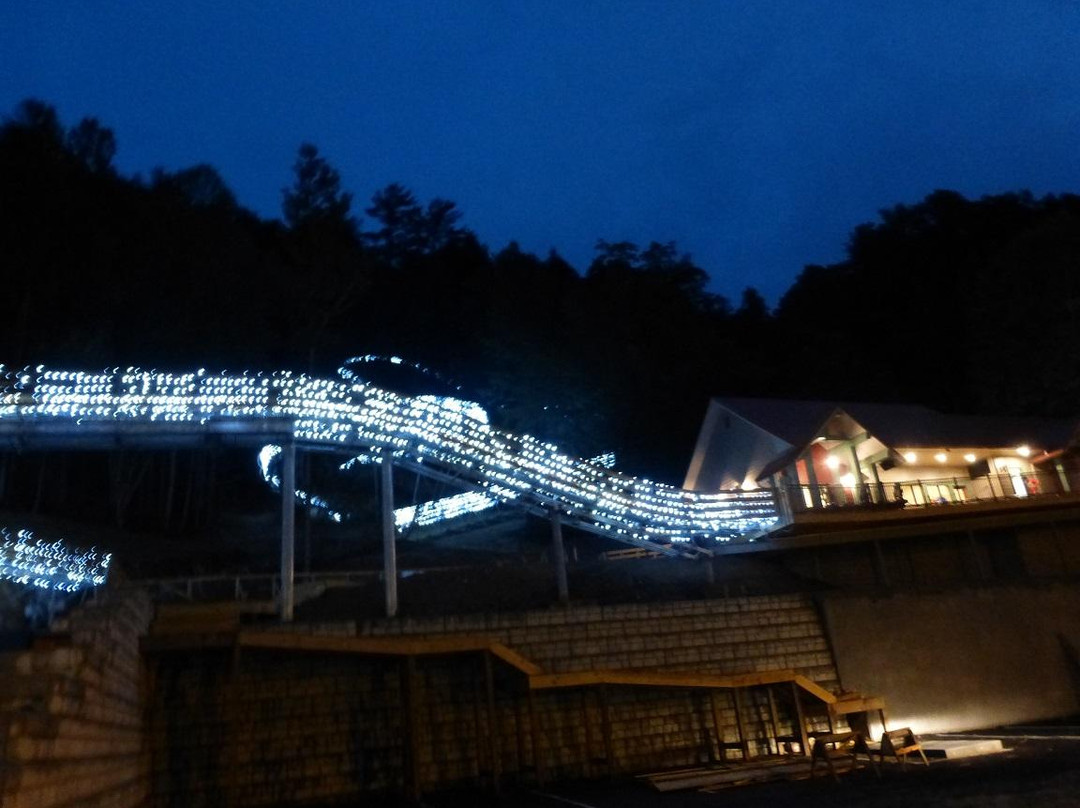 Moonshine Mountain Coaster-盖林柏格必去景点