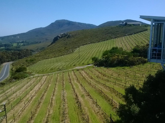 La Vierge Wines-赫曼努斯必去景点