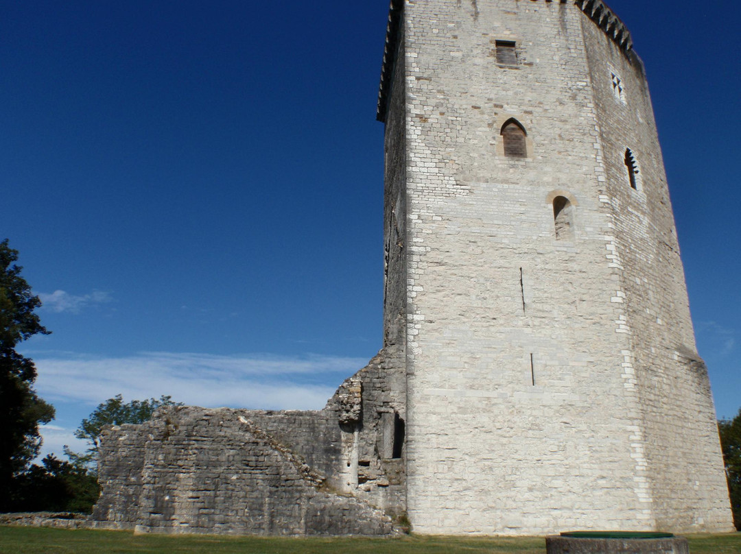 Chateau Moncade景点图片
