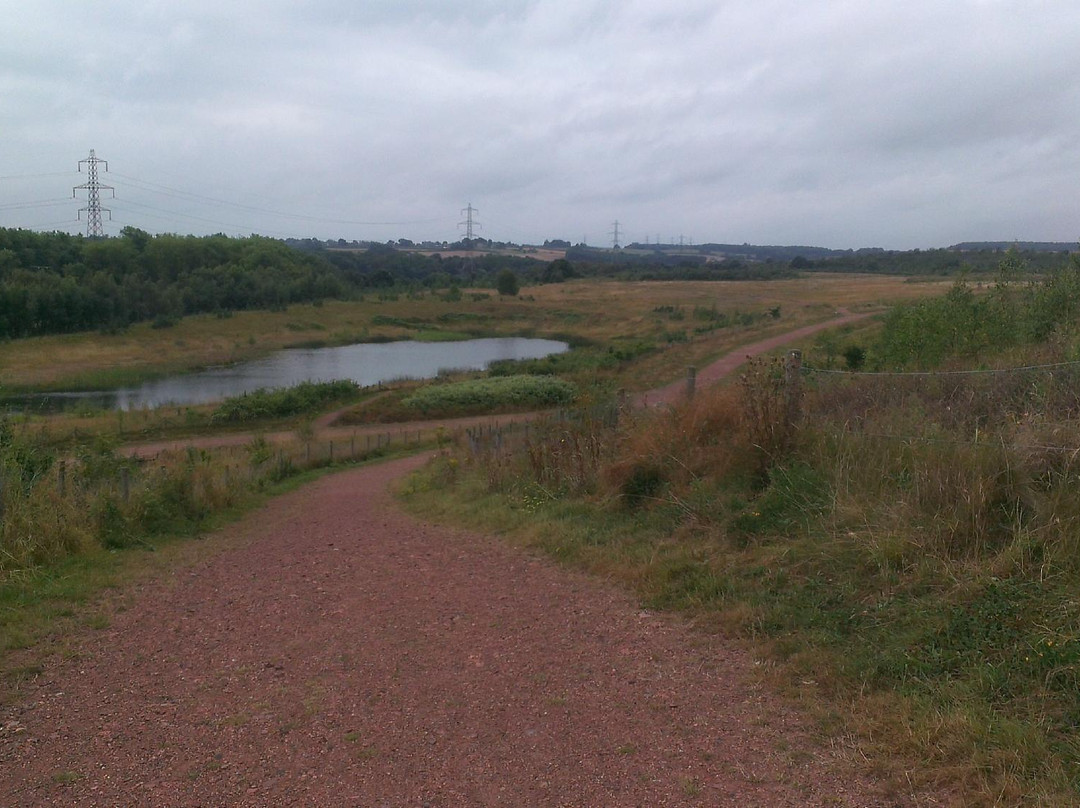 Frickley Park景点图片