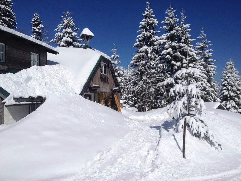 Bauernhof Die Schafbachalm主图