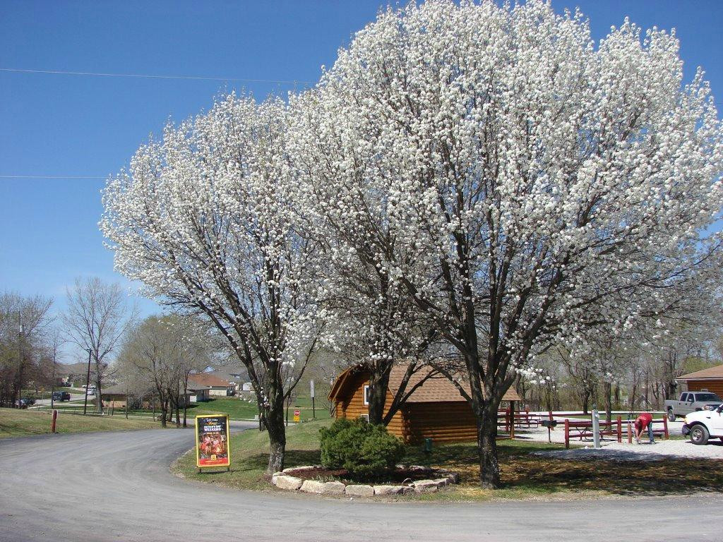 Kansas City East / Oak Grove KOA