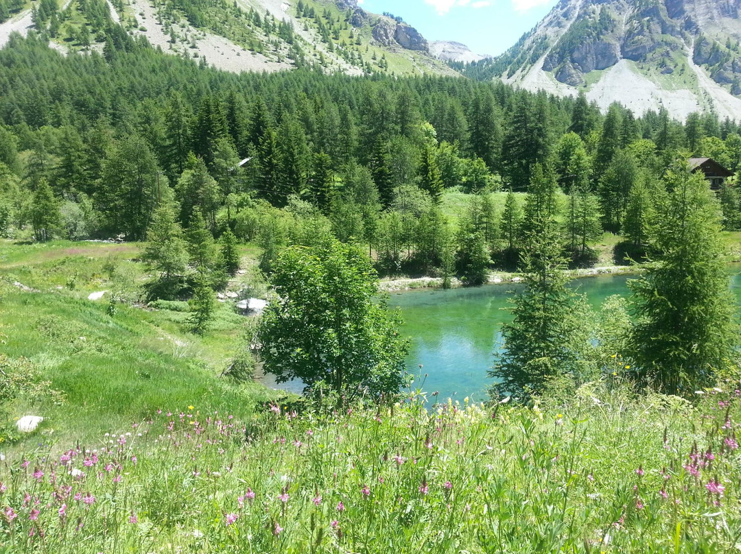 Le Relais de la Cayolle主图