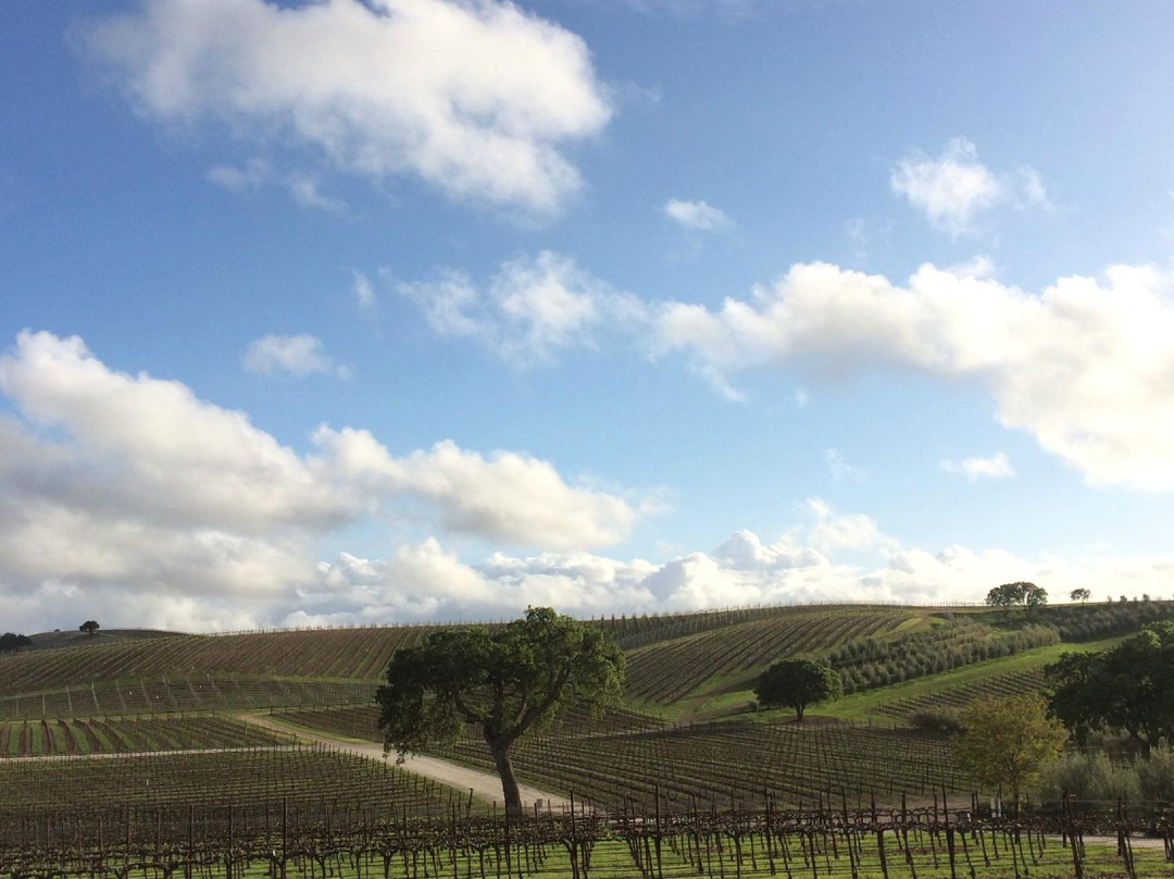 Pomar Junction Vineyard & Winery-帕索罗布尔斯必去景点