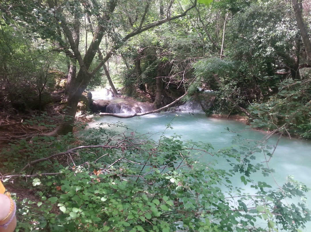 Cascade de Sillans-Sillans-la-Cascade必去景点
