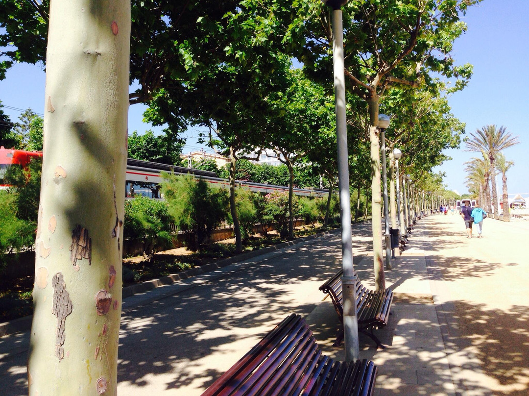 Paseo Maritimo Manuel Puigvert-卡莱利亚必去景点