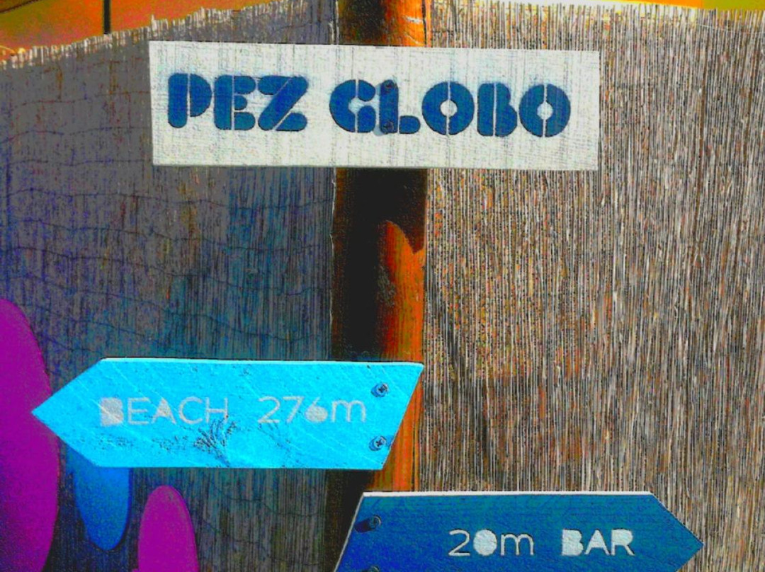 Pez Globo Beach Bar景点图片