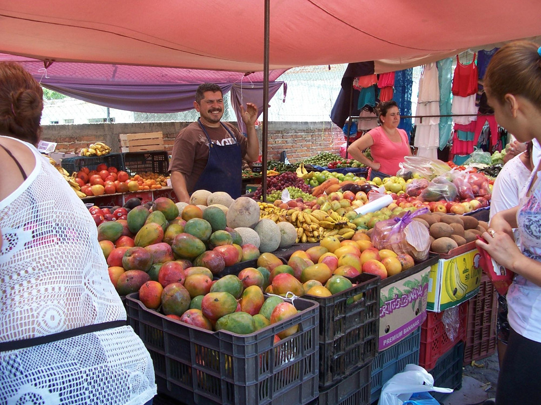 Lake Chapala Farmers' Market-Ajijic必去景点