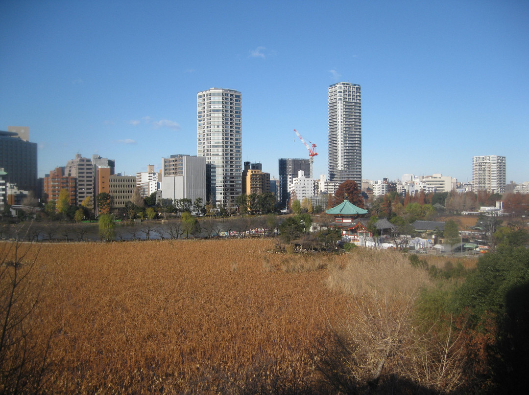上野公园-Uenokoen必去景点