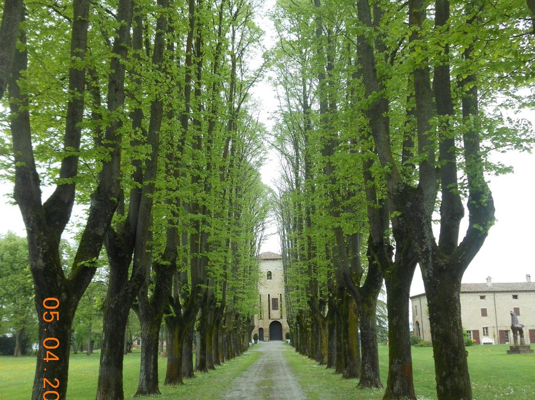Saint Peter's Castle景点图片