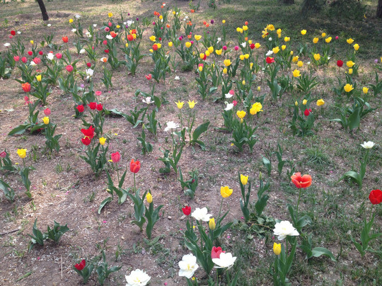 植物园-北京市必去景点