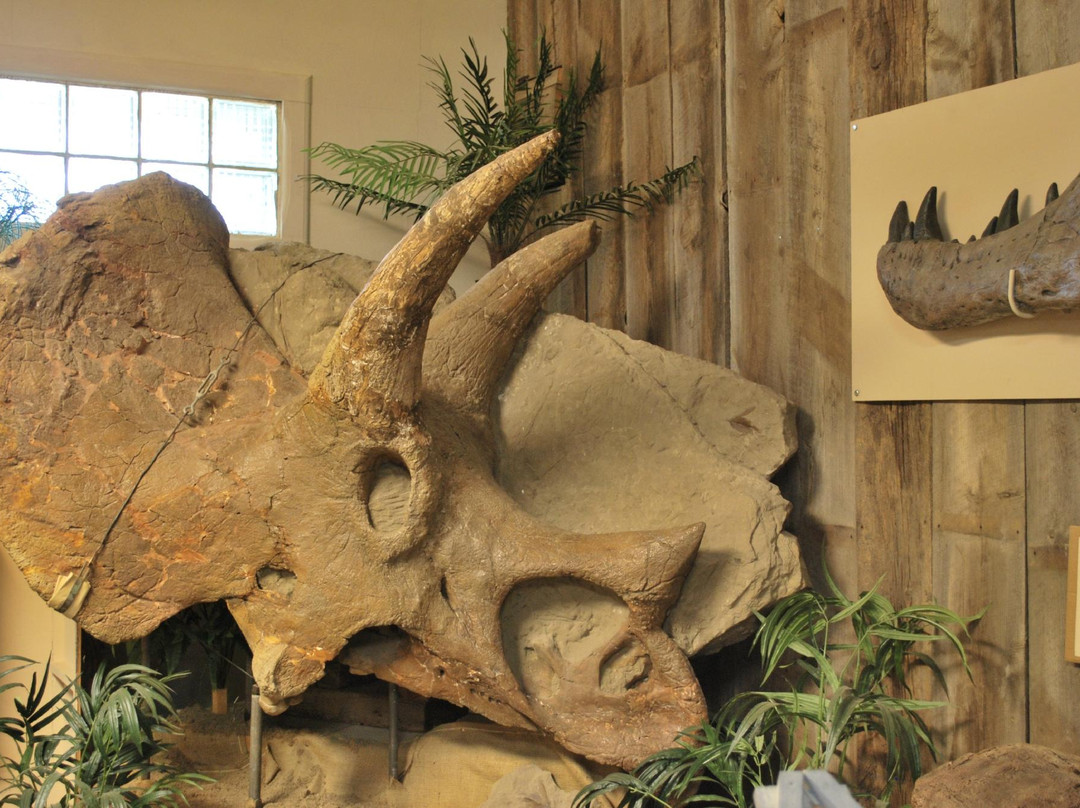 Carter County Museum-Ekalaka必去景点