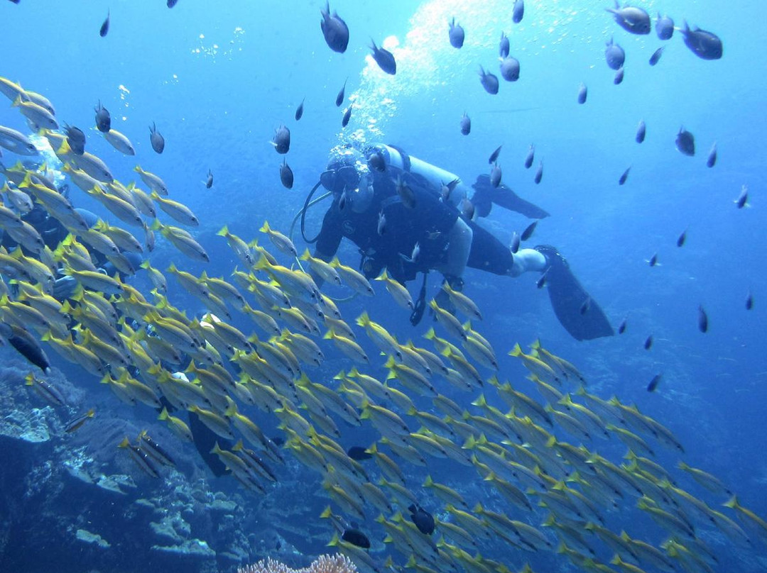 Dive Dimension景点图片