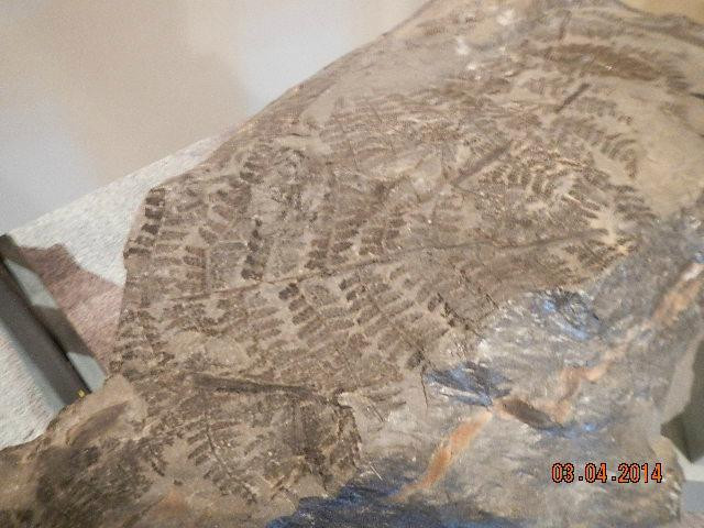 Museum of the Middle Appalachians-Saltville必去景点