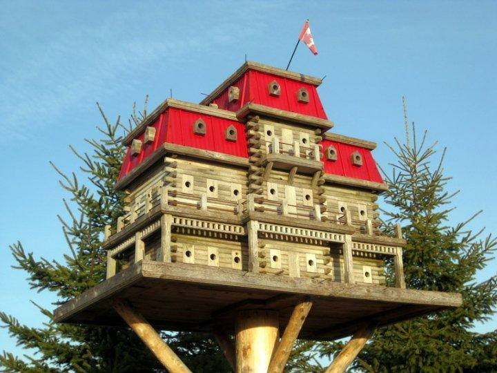 Extreme Birdhouses景点图片