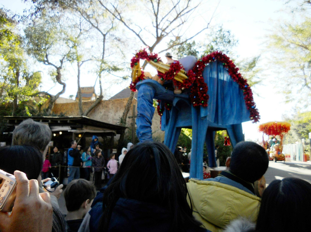 迪斯尼动物王国-奥兰多必去景点