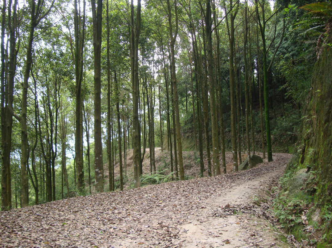 雅安碧峰峡-雅安市必去景点