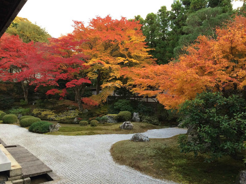 泉涌寺-京都市必去景点