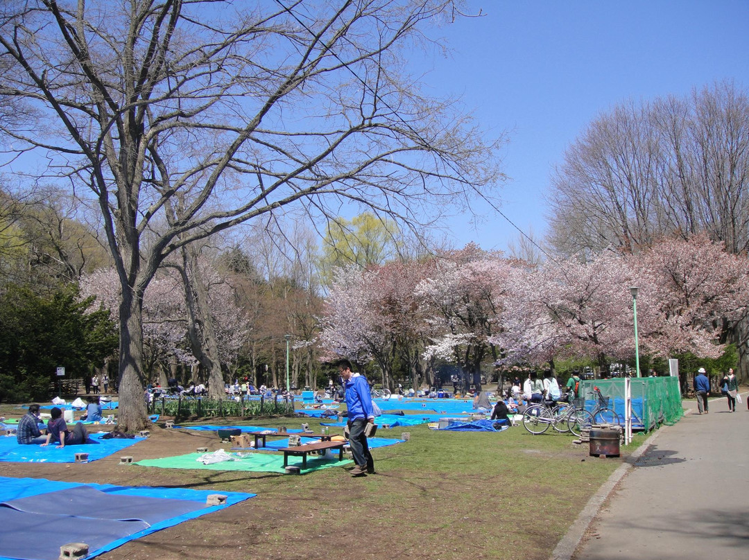 圆山公园-札幌市必去景点