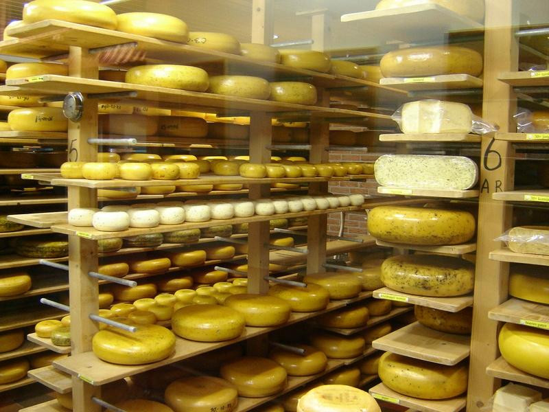 Kaasboerderij Weenink景点图片