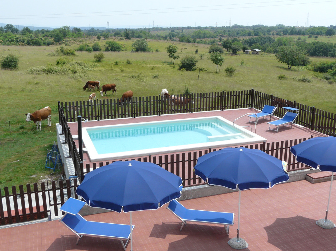 Bio-Agriturismo Parco Rurale "Alture di Polazzo"