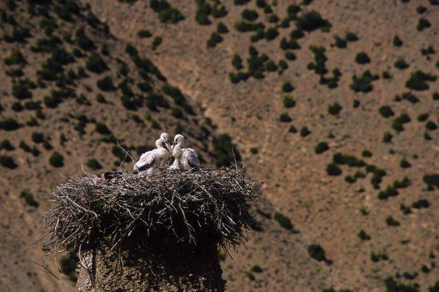 DesertVine - Day Tours-Agdz必去景点