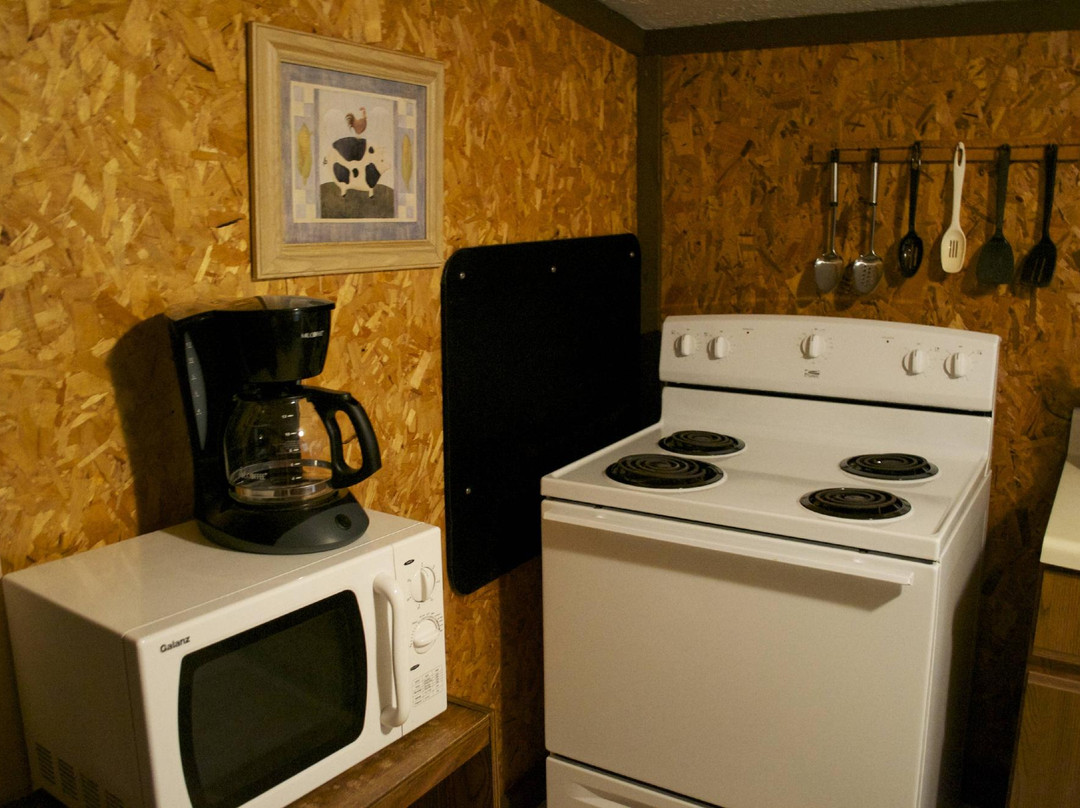 Alligator II Marina-Russell Springs必去景点