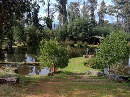 Marysville Trout and Salmon Ponds景点图片