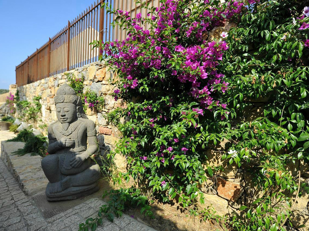 Le Paddock Plage Privée Sainte Maxime景点图片