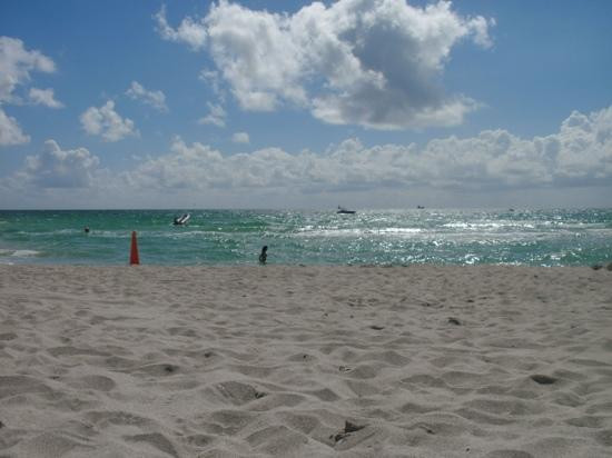 佛罗里达海豚之旅-奥兰多必去景点