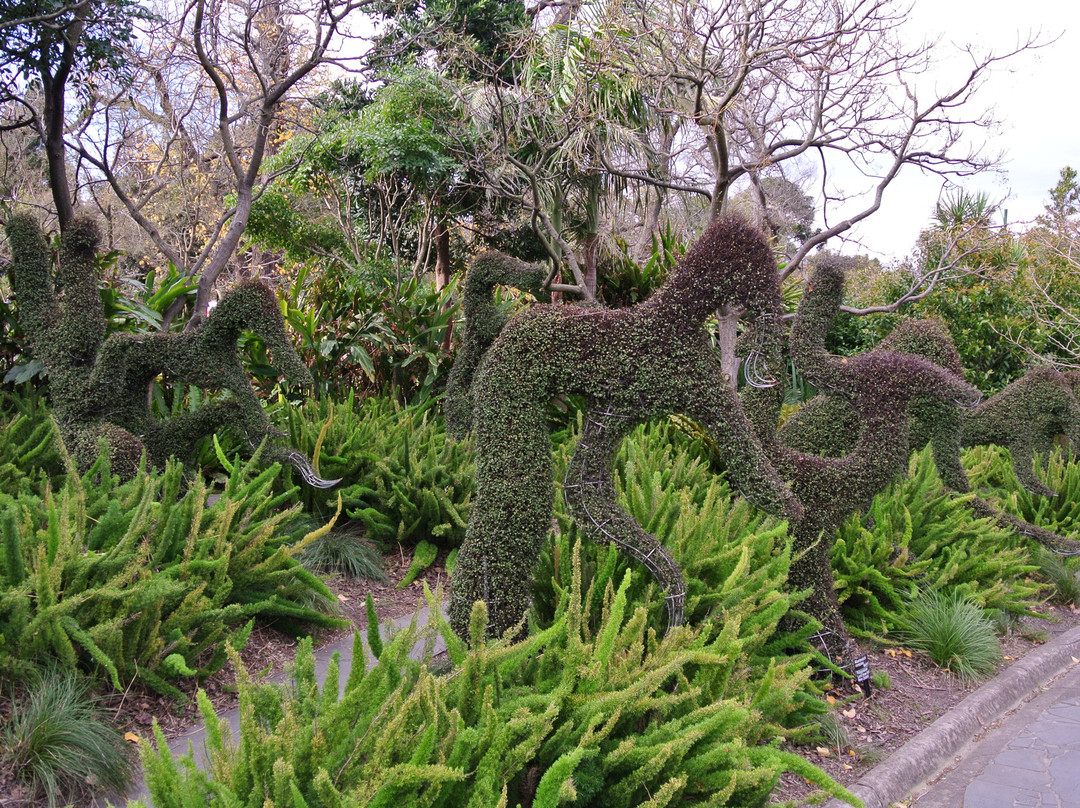 墨尔本皇家植物园-墨尔本必去景点