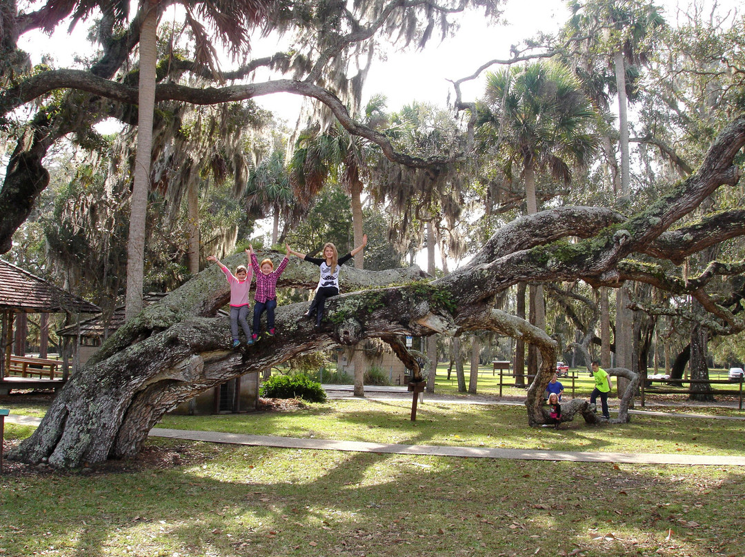 Princess Place Preserve-棕榈海岸必去景点