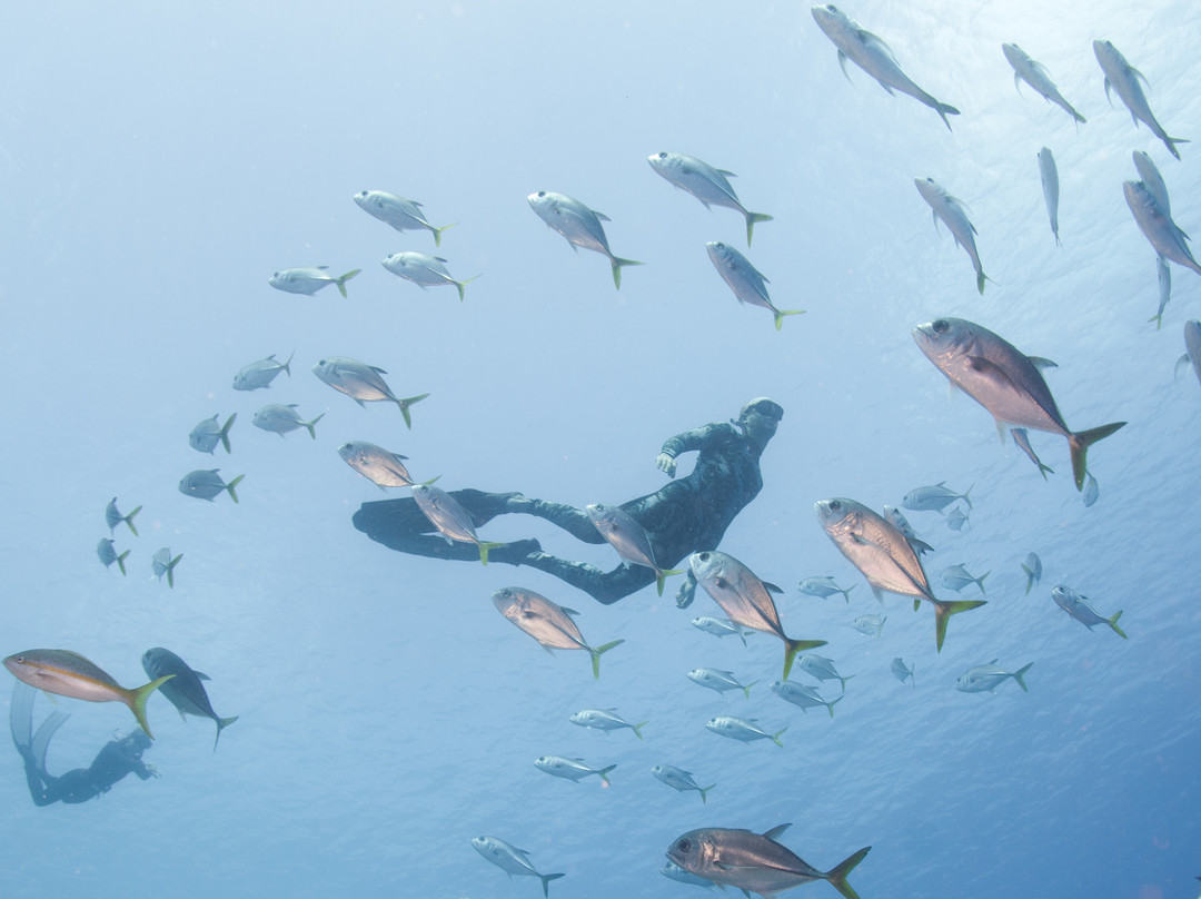 Flow-Kralendijk必去景点