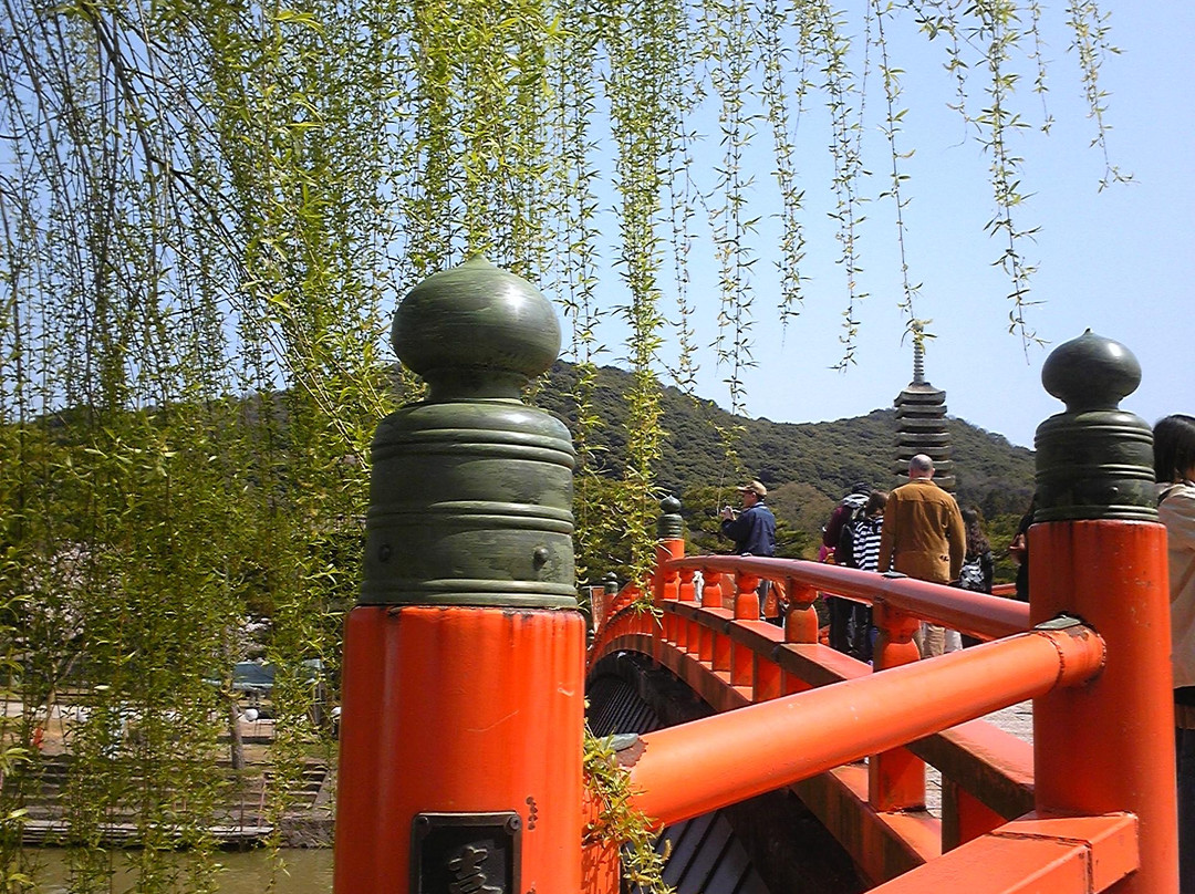 Kameishiro主图