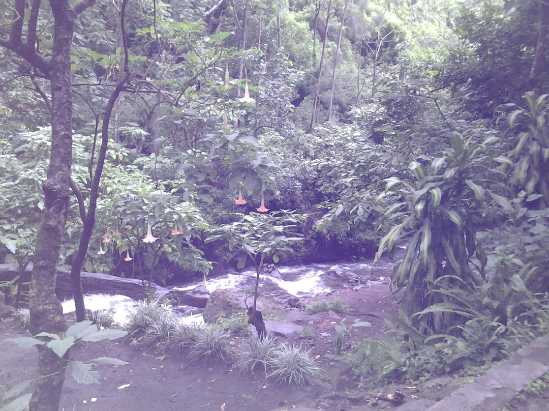 Coban Jahe Waterfall-玛琅必去景点