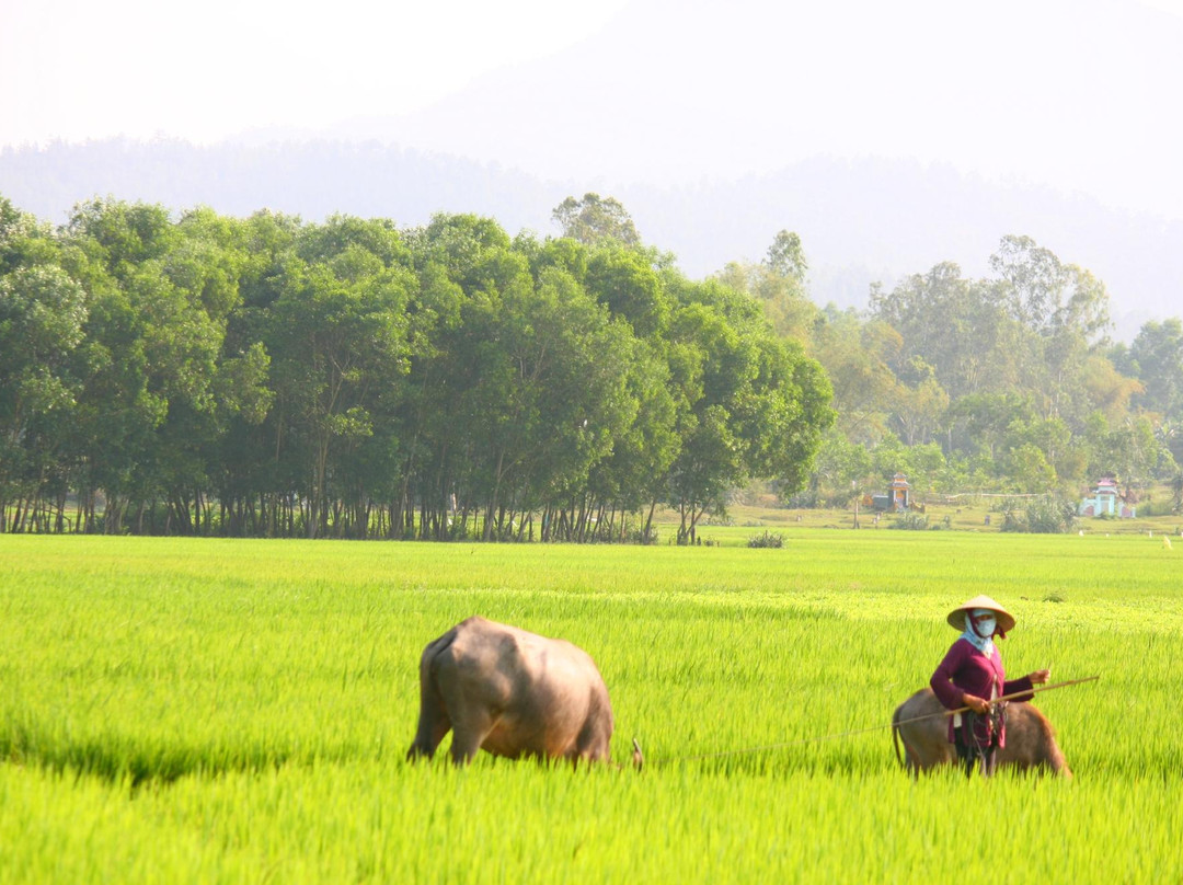 会安摩托车冒险-会安必去景点