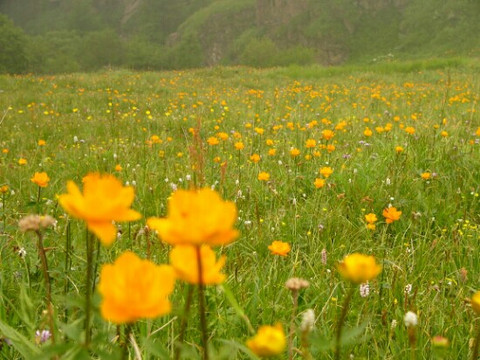 小五台-涿鹿县必去景点
