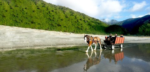 Golden Sands Horse and Wagon Tours景点图片