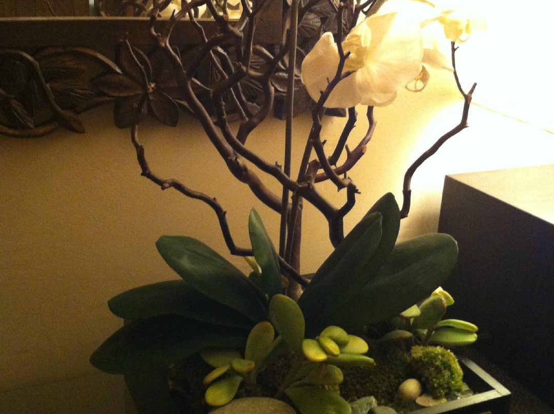 Sena Spa at the Teton Club-提顿村必去景点