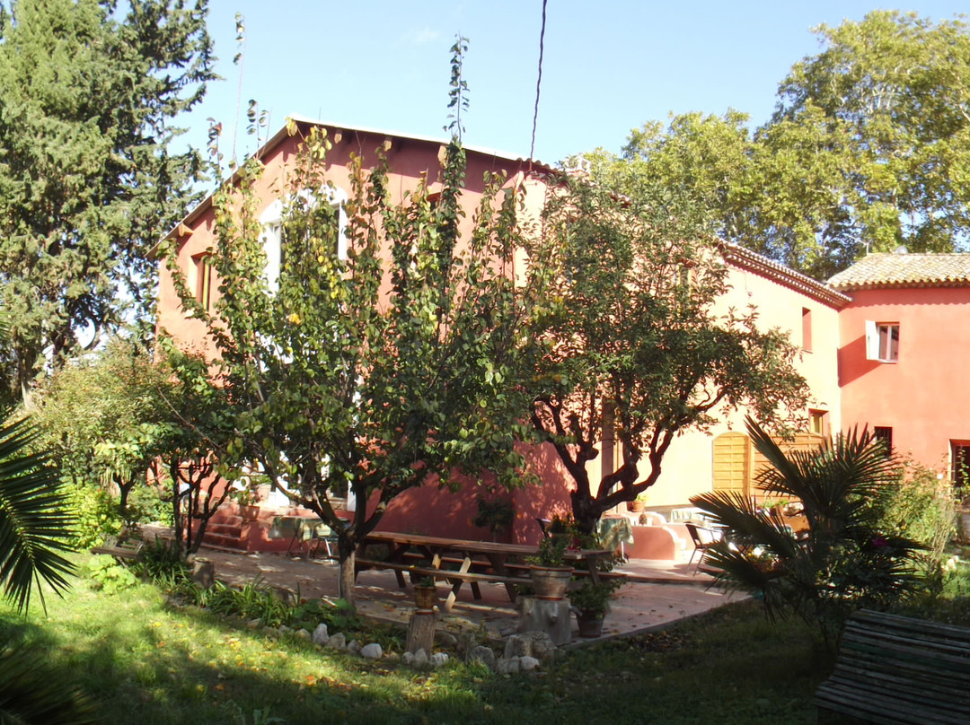 Le Petit Fidèle主图