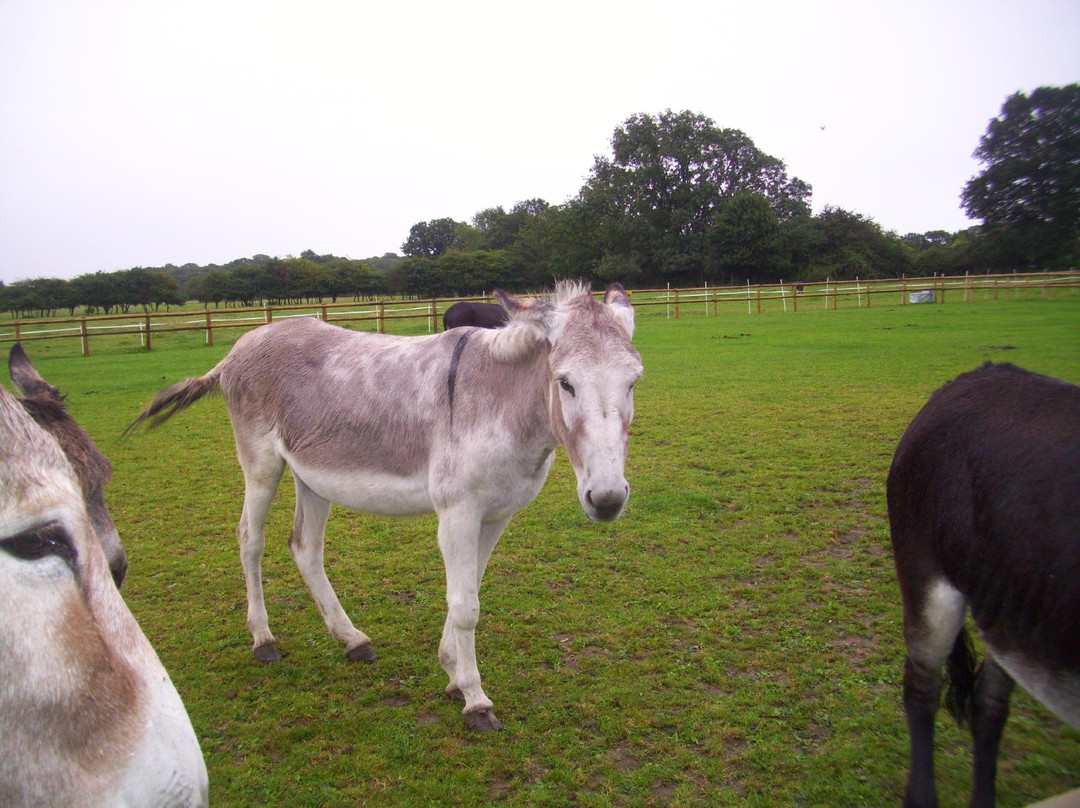 Hopefield Animal Sanctuary & Visitor Centre景点图片