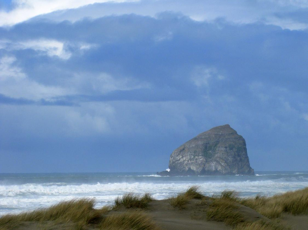 Bob Straub State Park-太平洋城必去景点