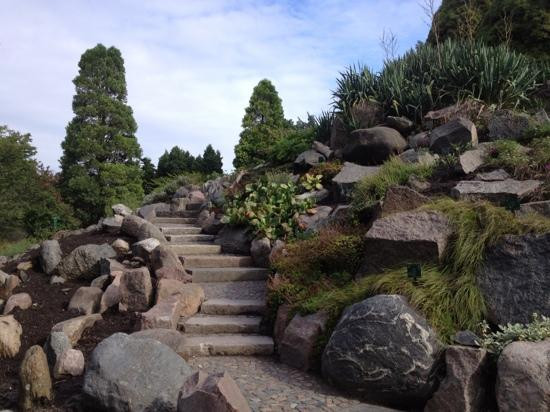 Botanical Garden-哥本哈根必去景点