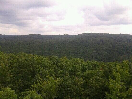 Cook Forest State Park景点图片
