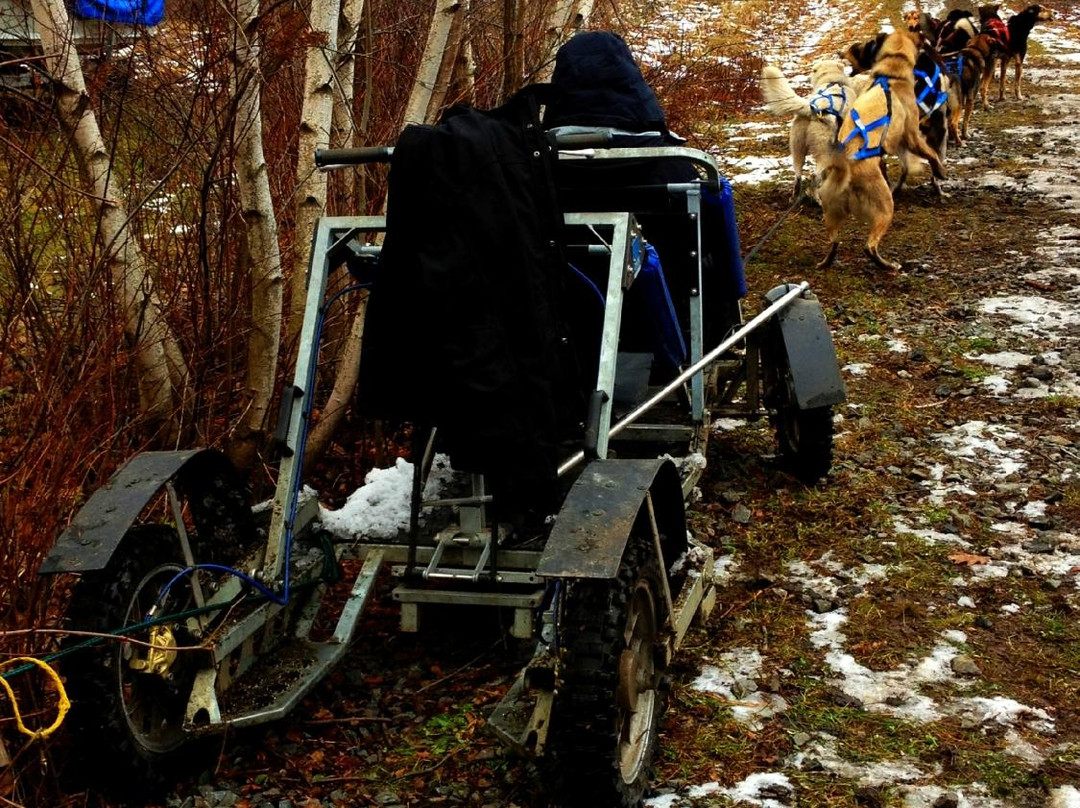 Muddy Paw Sled Dog Kennel-Jefferson必去景点
